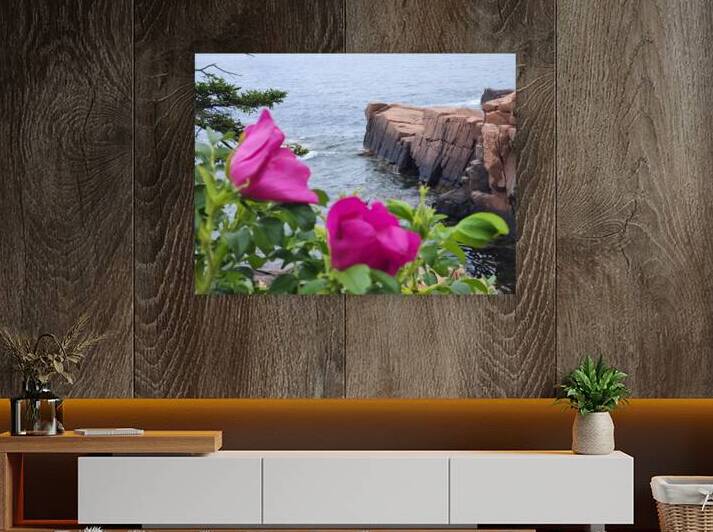 Acadia Point by Earthshine Emporium