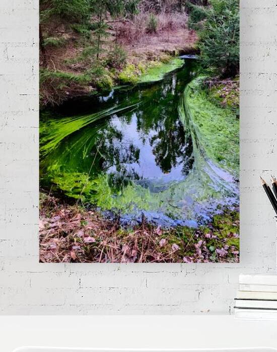 Reitz  2 AMD by Earthshine Emporium