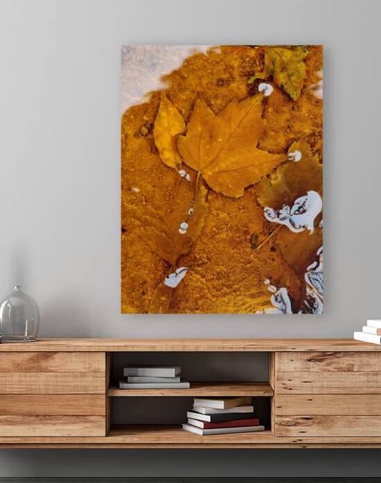 Red Maple Encased In Iron Oxide by Earthshine Emporium