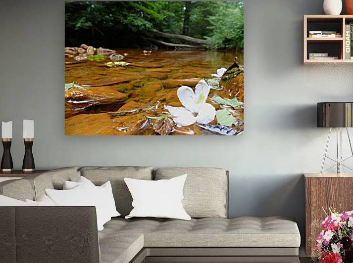 Carnahan Run by Earthshine Emporium