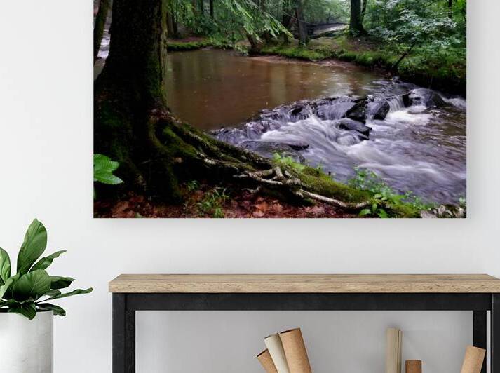 Hemlock Stream by Earthshine Emporium