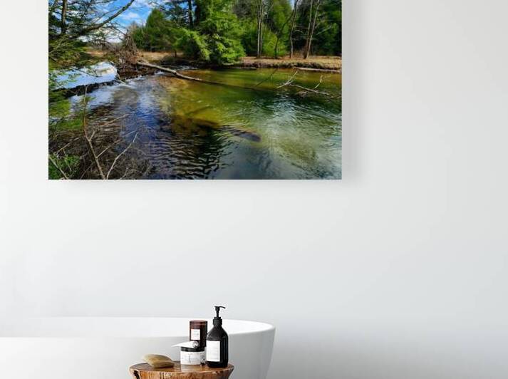 Spring At Clear Shade Creek by Earthshine Emporium