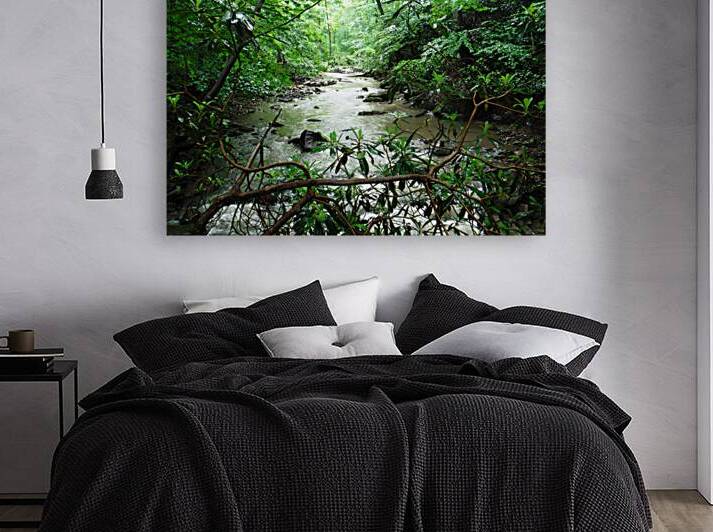 Roaring Run by Earthshine Emporium