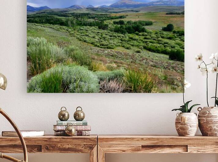 Sierra Nevada by Earthshine Emporium