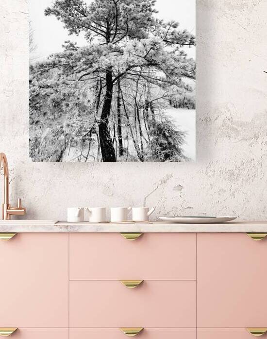 Snowy White Pine by Earthshine Emporium