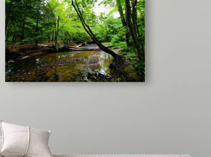 Laurel Run by Earthshine Emporium