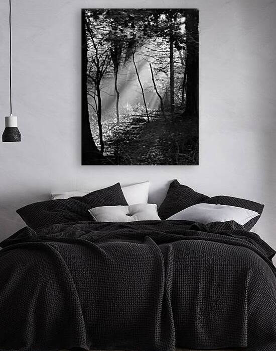 Morning Sunlight by Earthshine Emporium