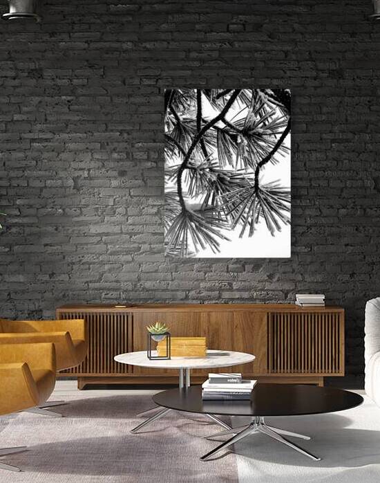 Snowy Conifer by Earthshine Emporium