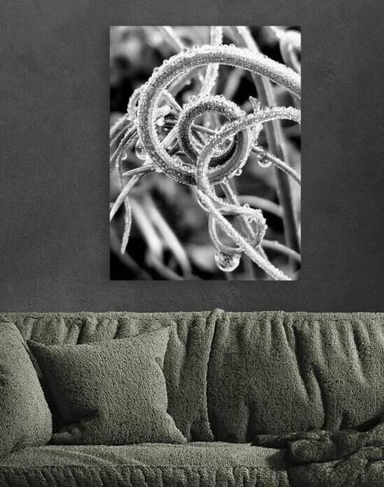 Natural Curl by Earthshine Emporium