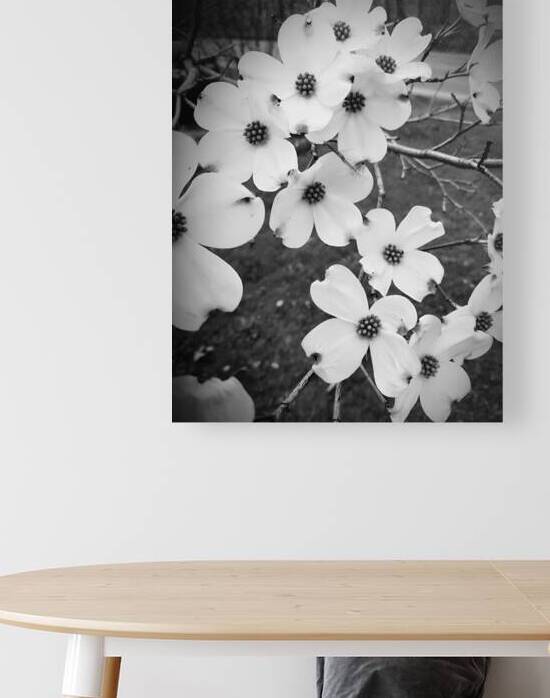 Flowering Dogwood by Earthshine Emporium