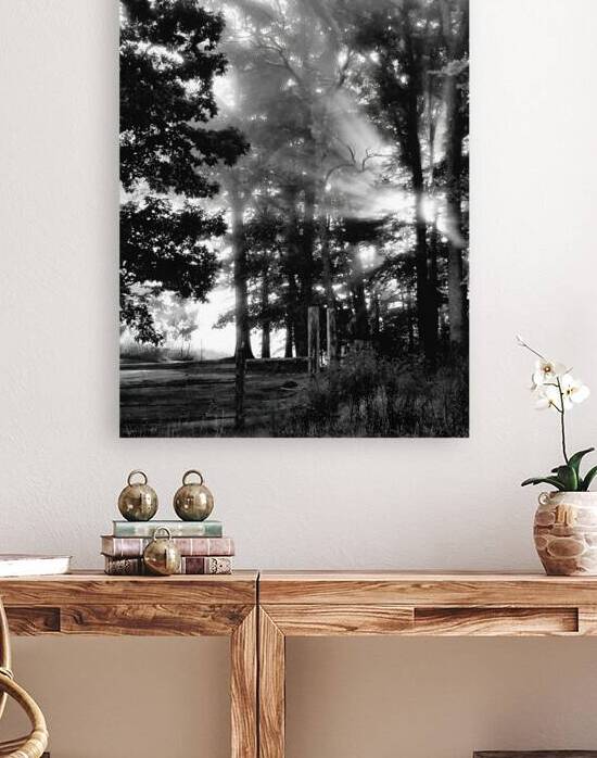 Misty Morning Rays by Earthshine Emporium