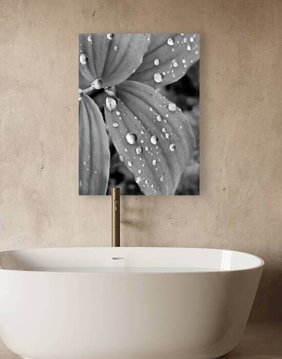 Raindrops by Earthshine Emporium