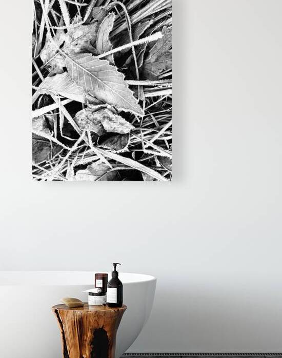 Frosty Oak Leaf by Earthshine Emporium