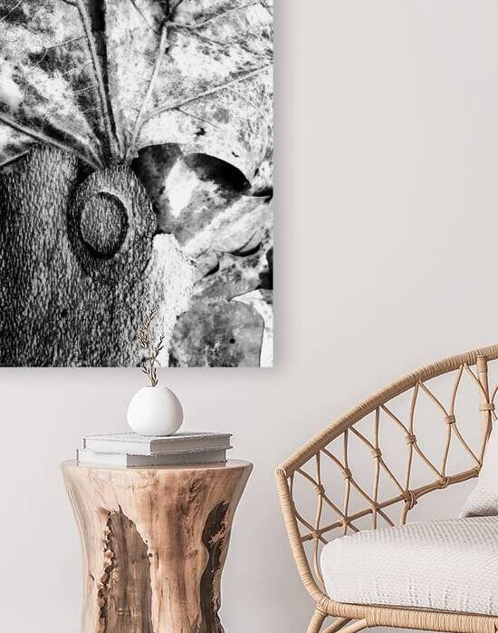 Botanical Shapes by Earthshine Emporium