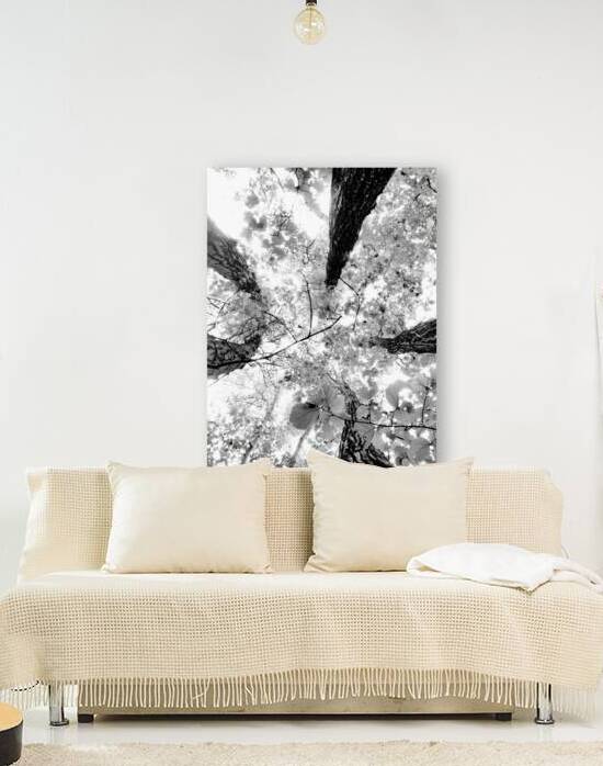 Forest Squad by Earthshine Emporium