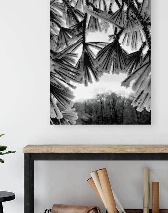 Snowy Conifer 1 by Earthshine Emporium