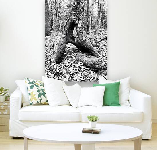 Natural A by Earthshine Emporium