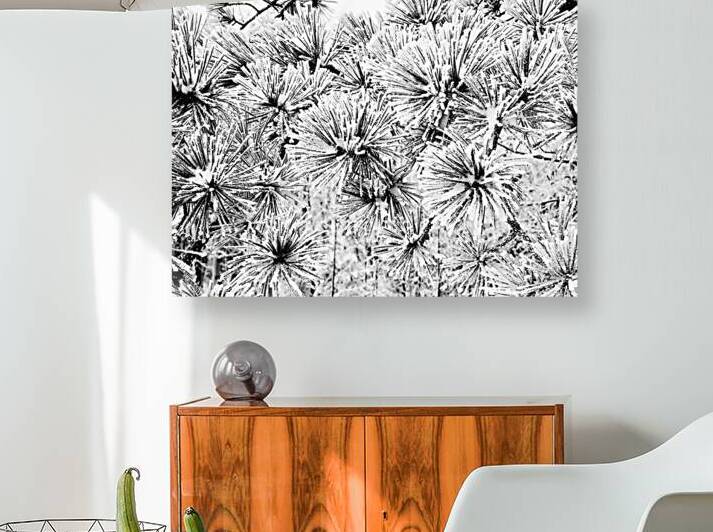 Snowy Conifer by Earthshine Emporium