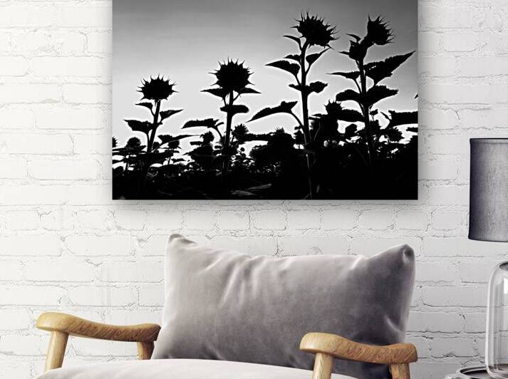 Sunflower Silhouette by Earthshine Emporium