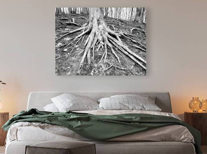 Root Flare by Earthshine Emporium