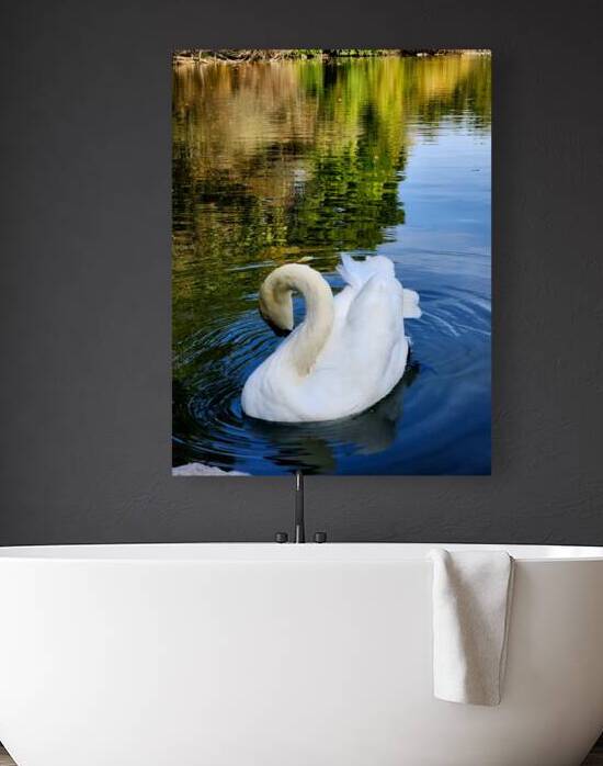 Swan 3 by Earthshine Emporium