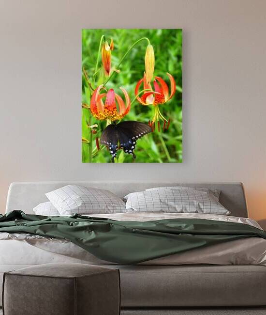 Black Swallowtail On Turks Cap by Earthshine Emporium