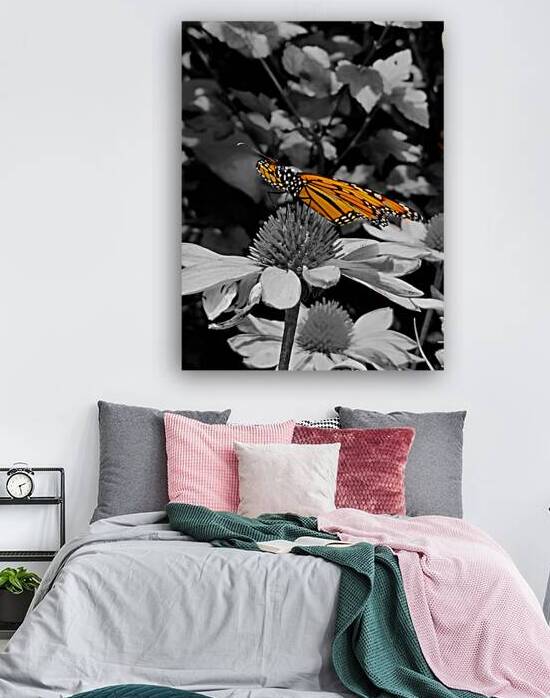 Monarch Highlight by Earthshine Emporium