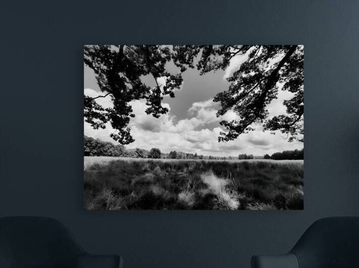 Meadow by Earthshine Emporium