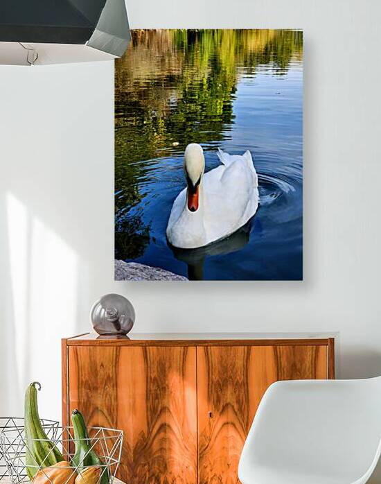 Swan 2 by Earthshine Emporium