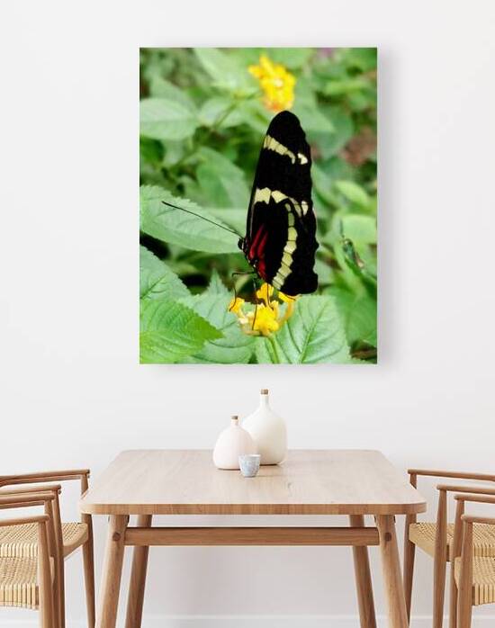 Butterfly by Earthshine Emporium