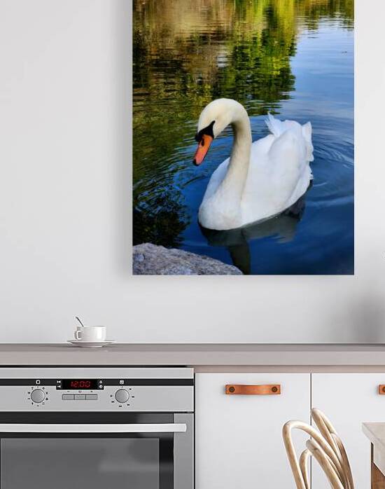 Swan 1 by Earthshine Emporium