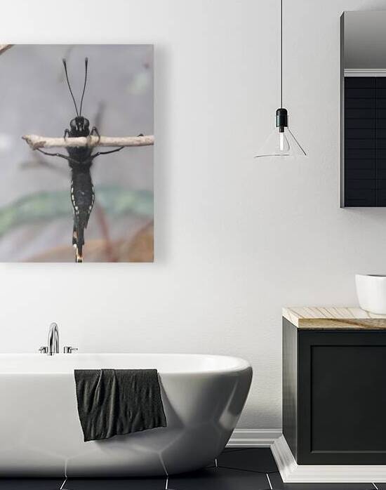 Butterfly Pullup by Earthshine Emporium