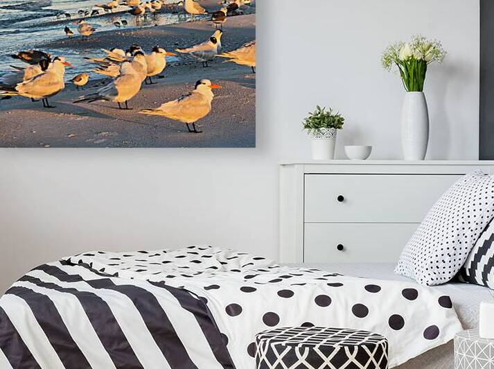 Gulls & Terns by Earthshine Emporium