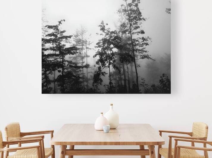 Misty Morning by Earthshine Emporium