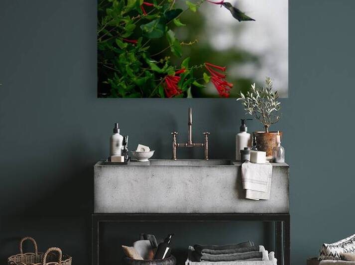 Nectaring Hummingbird by Earthshine Emporium