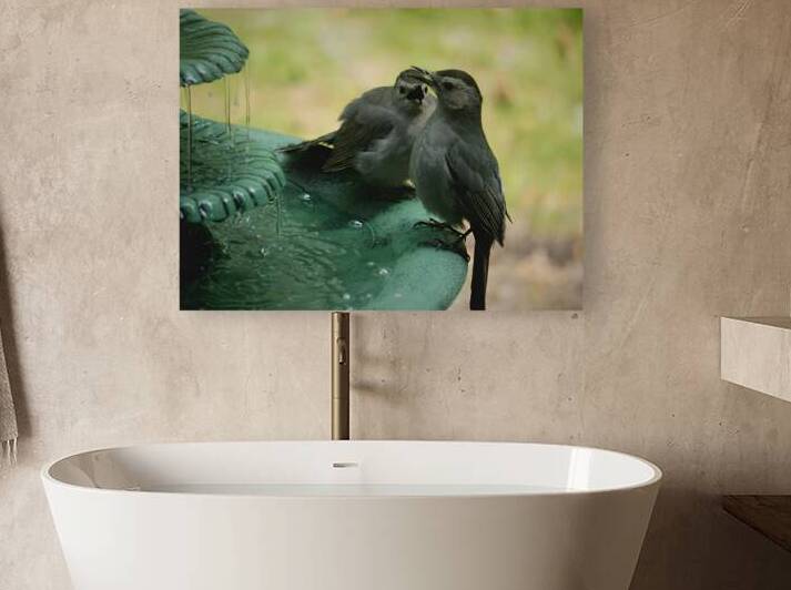 Catbird Scolding by Earthshine Emporium