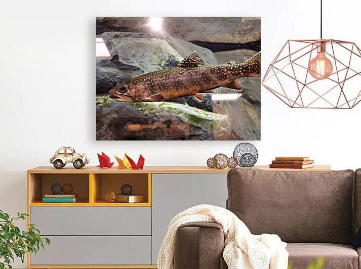 Brook Trout by Earthshine Emporium