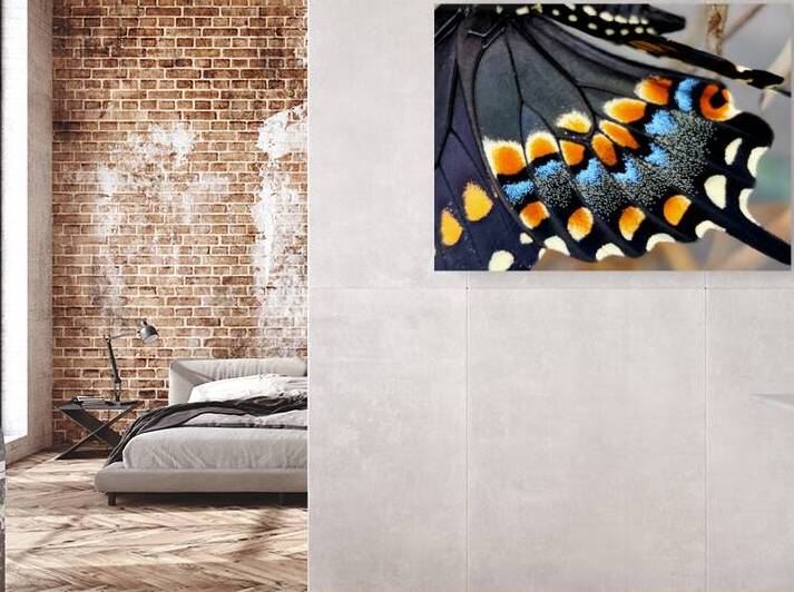 Black Swallowtail Closeup by Earthshine Emporium