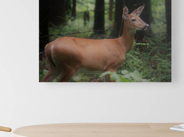 Doe by Earthshine Emporium