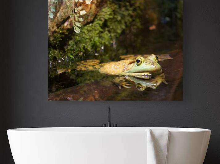 Bull Frog by Earthshine Emporium