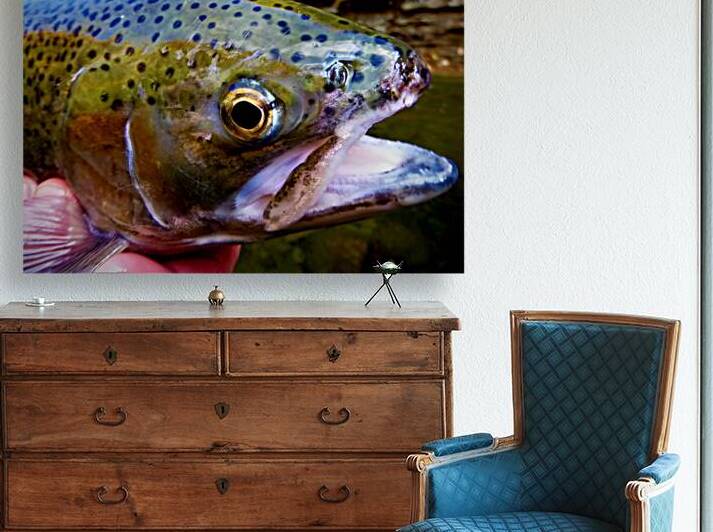 Steelhead Closeup by Earthshine Emporium