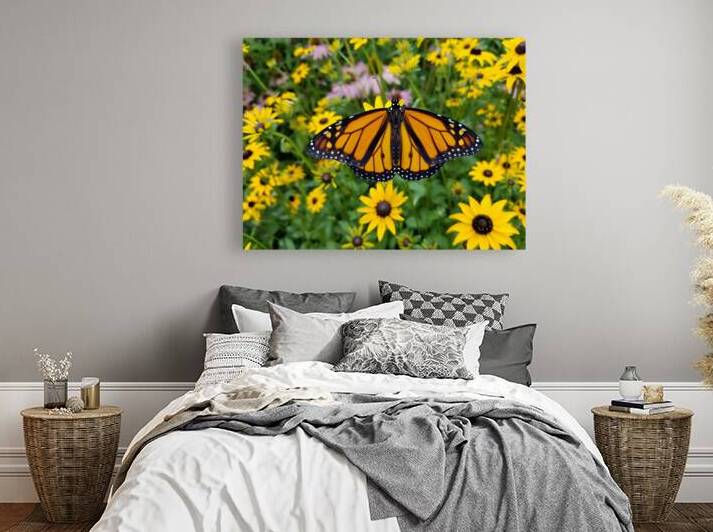 Monarch & Black Eyed Susan by Earthshine Emporium