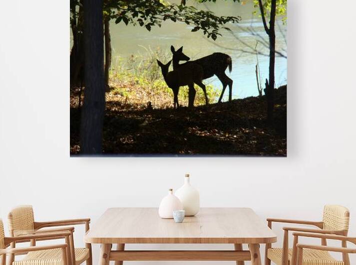 Lake Deer by Earthshine Emporium