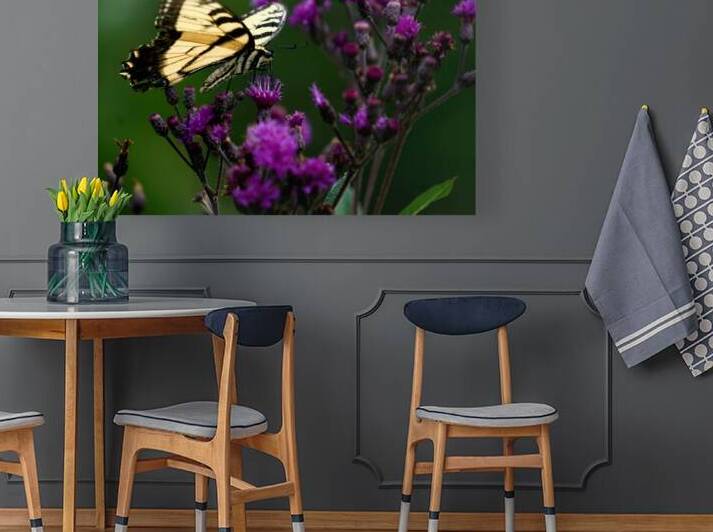 Swallowtail On Ironweed by Earthshine Emporium