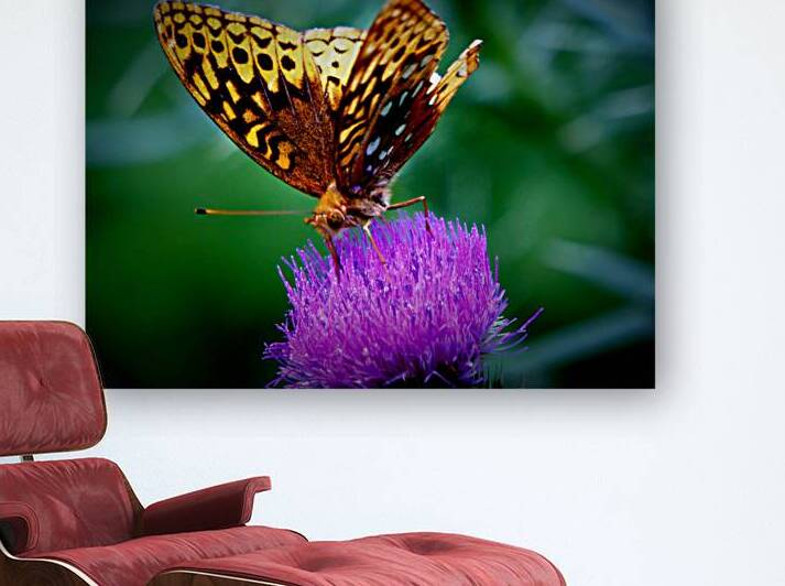 Butterfly On Thistle by Earthshine Emporium