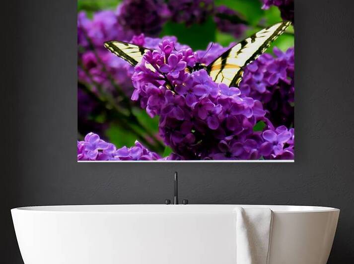 Swallowtail On Lilacs by Earthshine Emporium