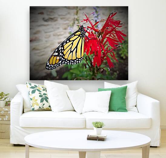 Monarch On Cardinal Flower by Earthshine Emporium