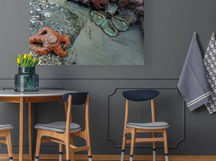 Tidal Pool 3 by Earthshine Emporium