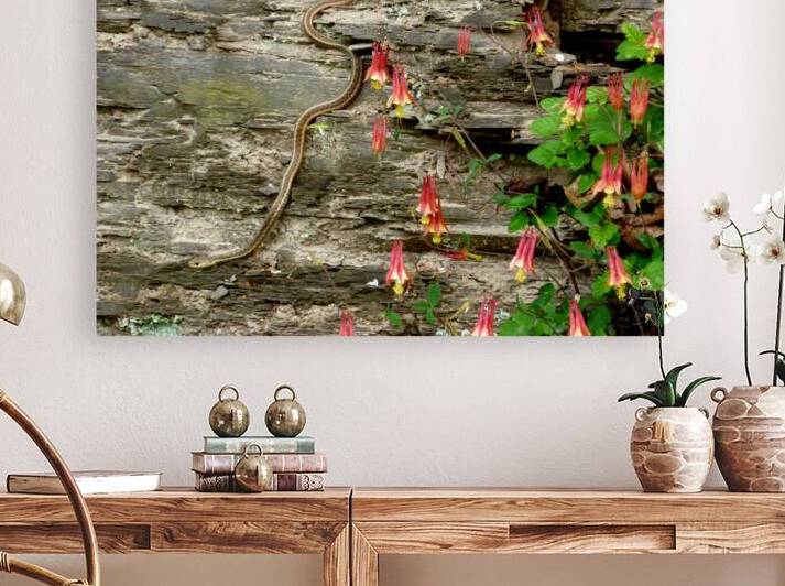 Beauty And Beast by Earthshine Emporium