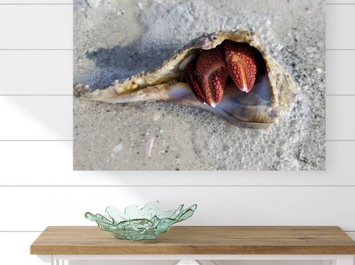 Crab by Earthshine Emporium